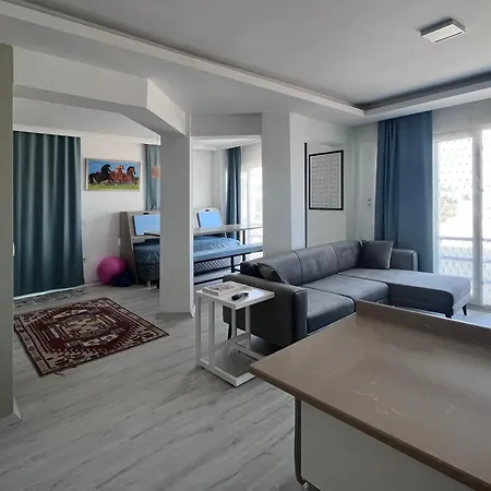 Of House * 博德鲁姆